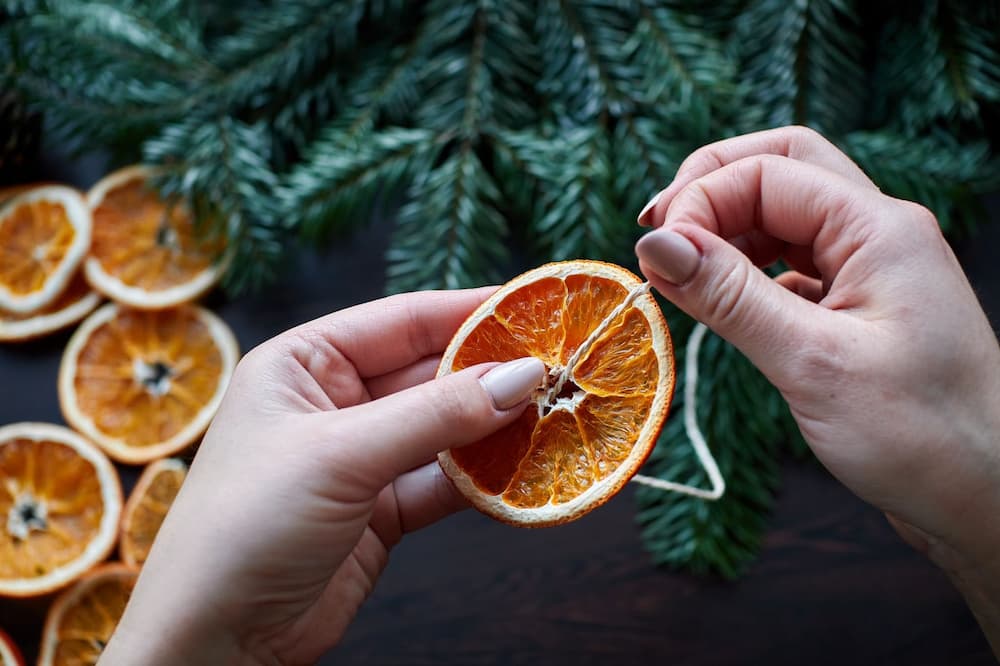 Dried Citrus Garland