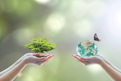 Small Eco-Friendly Choices That Make a Big Difference
