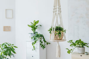 Stationary and hanging plant shelves