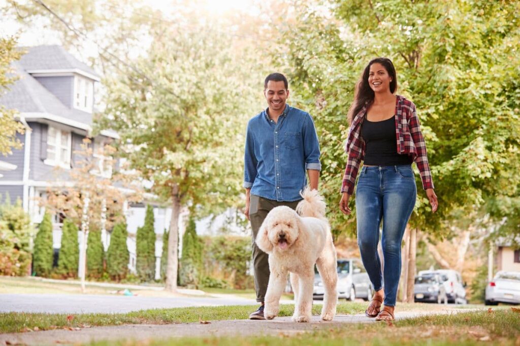 young Ottawa couple with pet walking along tree-lined walkways
